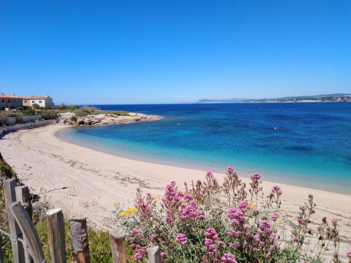 T3 Climatise Avec Jardin, Parking Prive, A 400M De La Plage Et Commerces - Fr-1-316-230 Six-Fours-les-Plages Bagian luar foto
